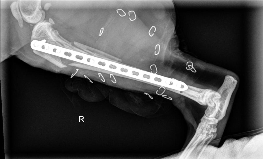 Update on our first clinical case use of IMPeek