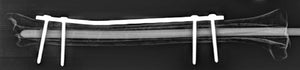 3 mm IMPeek Rod IMPeek PEEK Rod impeek.myshopify.com IMPeek